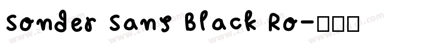 Sonder Sans Black Ro字体转换